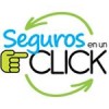 SEGUROS EN UN CLICK