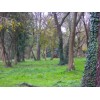 Terrenos y casas a la venta