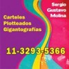 Carteles Ploteados, Corpreas, esmerilados, letras pintadas a mano, et.
