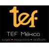 TEF MEXICO S.A. DE C.V.