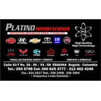 PLATINO IMPORTACIONES