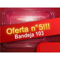 BANDEJA PARA MICROONDA N 103