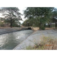 TERRENO AGRICOLA 1100 HAS PIURA SULLANA