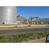 produccion bajo contrato en granos
