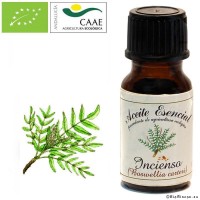 Aceite Esencial Incienso Bio. 12 ml