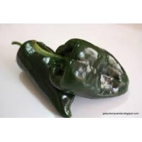 CHILE PARA RELLENAR 
