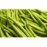 EJOTE