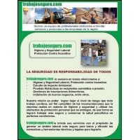 Consultora de Higiene y Seguridad Laboral