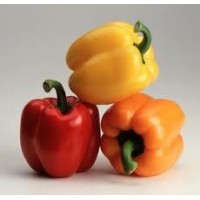 PIMIENTO MORRON