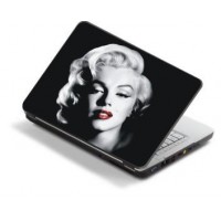 Skin para Notebook y Netbook, Vinilo Decorativo y proteccin
