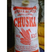 SEMILLA CHALA MEJORADO - CHUSKA