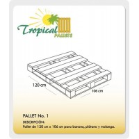 Pallet Ecuador