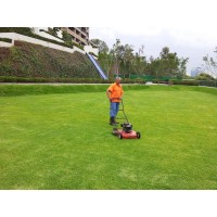 Mantenimiento de areas verdes