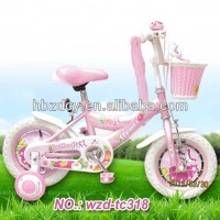 BICICLETA INFANTIL    WZD-TC318