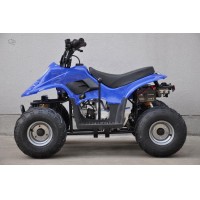 Cuatrimoto 110cc 150cc 200cc 250cc 400cc 600cc