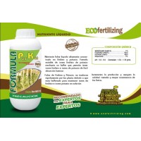 FORMULA P25K40