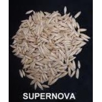 $120 .- Avena blanca entera con cscara. Chile.