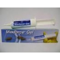 MAX FORCE GEL