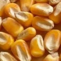 Agronegocios. Mercado Interno/ Exportamos