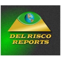 INFORMES COMERCIALES, CREDITICIOS Y FINANCIEROS DE EMPRESAS