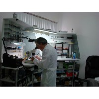 Recuperacion de Datos de Discos Durosy RAID