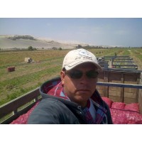 BUSCO SOCIO CAPITALISTA PARA EXPORTAR FRUTA FRESCA DE PERU