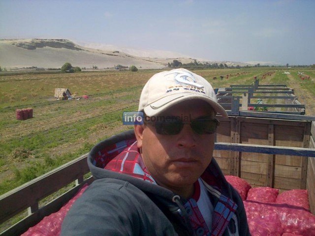 BUSCO SOCIO CAPITALISTA PARA EXPORTAR FRUTA FRESCA DE PERU