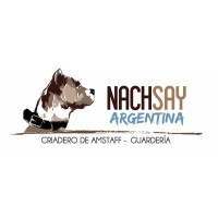 Guardera Canina