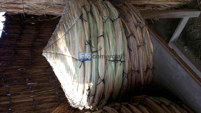 Gorro de totora- paraguas de totora pra plantas