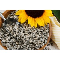 Semillas Girasol, Chia, Sesamo... Distribuimos todo el Pais