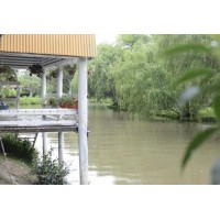 PUNTA ESCOBAR | 9955