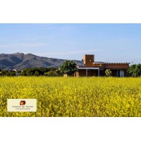 ESTACIN DEL CARMEN | 10448