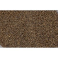 Cumin Seeds