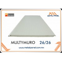 MULTYMURO HIDALGO