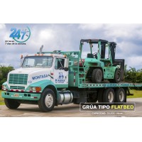 Grua tipo flatbed