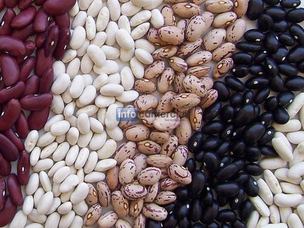 Porotos Negro, Porotos Alubia, Porotos Colorado, Descarte De Porotos