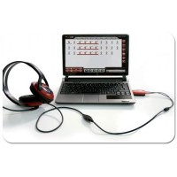 Software de idiomas