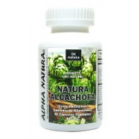 ALCACHOFA (90 cpsulas de 500 mg.)