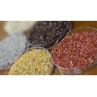 Quinoa, quinua