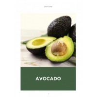 AGUACATE - PALTA - AVOCADO