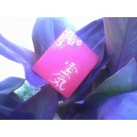 Cajas de Reiki