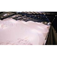 UREA N46% GRANULAR & PRILLED