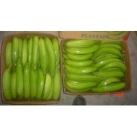 PLATANO MACHO BARRAGANETE