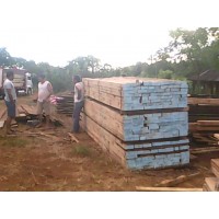 MADERAS MISIONERAS DIRECTO DESDE MISIONES