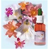 Terapia Floral