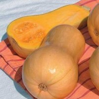 Prima Farms  SAC