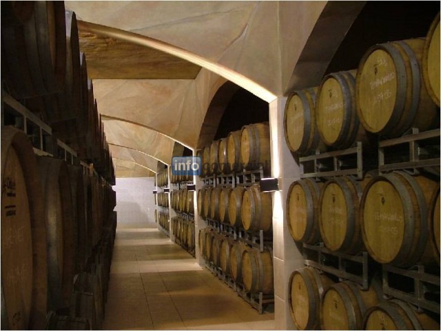 Somos importante BODEGA Y VIEDOS productores y exportadores de Vinos genricos, de alta gama y premium