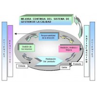 Consultor ISO 9000