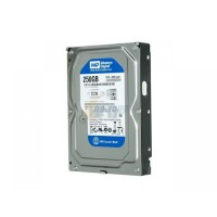 Disco Rigido 250 GB IDE 7200 Western Digital 8 MB