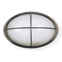 TORTUGA DE ALUMINIO 